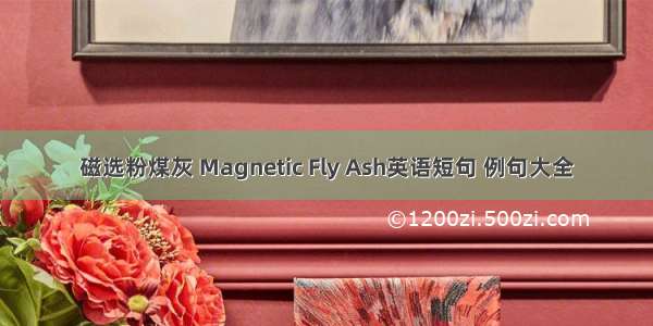 磁选粉煤灰 Magnetic Fly Ash英语短句 例句大全