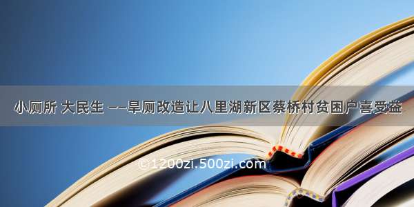 小厕所 大民生 ——旱厕改造让八里湖新区蔡桥村贫困户喜受益