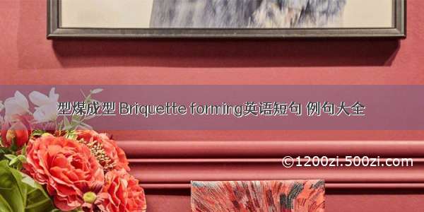 型煤成型 Briquette forming英语短句 例句大全