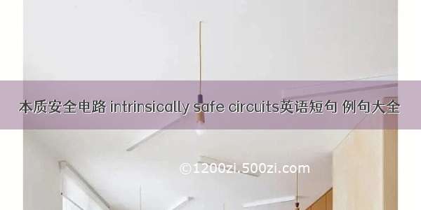 本质安全电路 intrinsically safe circuits英语短句 例句大全