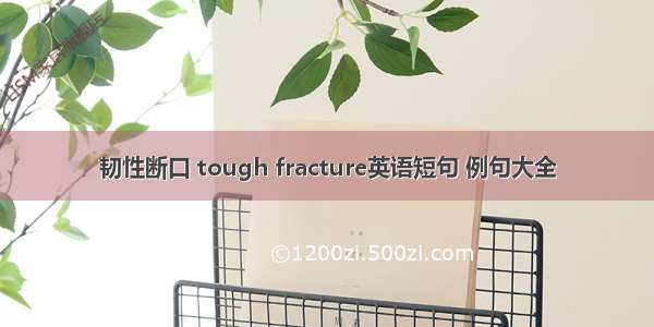 韧性断口 tough fracture英语短句 例句大全