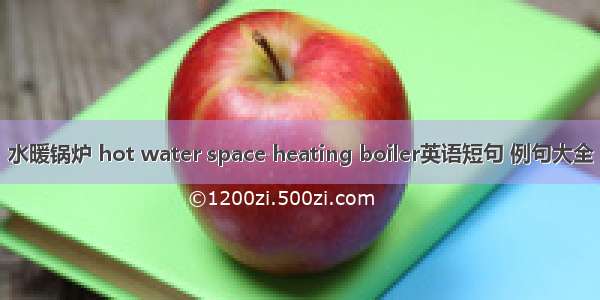 水暖锅炉 hot water space heating boiler英语短句 例句大全