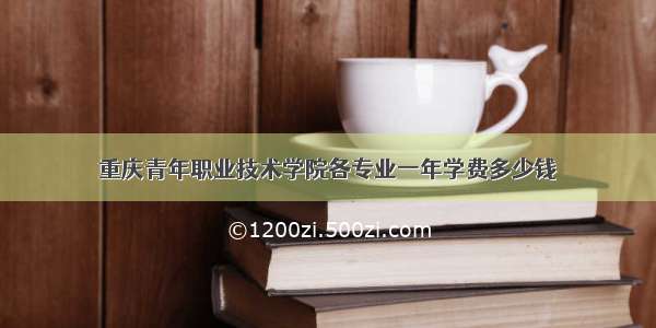 重庆青年职业技术学院各专业一年学费多少钱