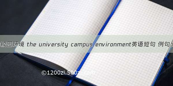 大学校园环境 the university campus environment英语短句 例句大全