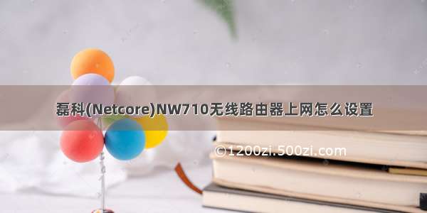 磊科(Netcore)NW710无线路由器上网怎么设置