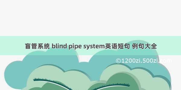 盲管系统 blind pipe system英语短句 例句大全