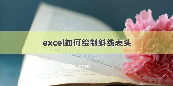 excel如何绘制斜线表头