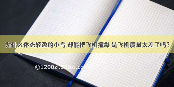 为什么体态轻盈的小鸟 却能把飞机撞爆 是飞机质量太差了吗？