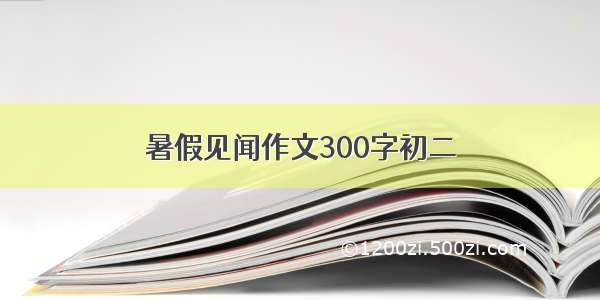 暑假见闻作文300字初二