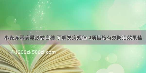 小麦赤霉病导致枯白穗 了解发病规律 4项措施有效防治效果佳