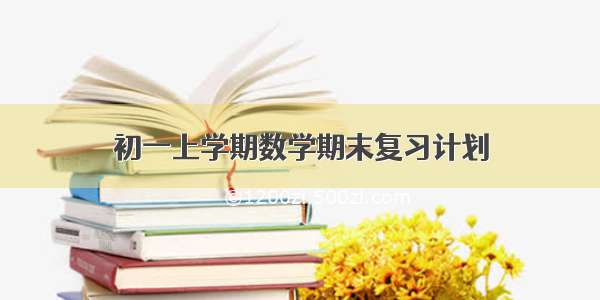 初一上学期数学期末复习计划