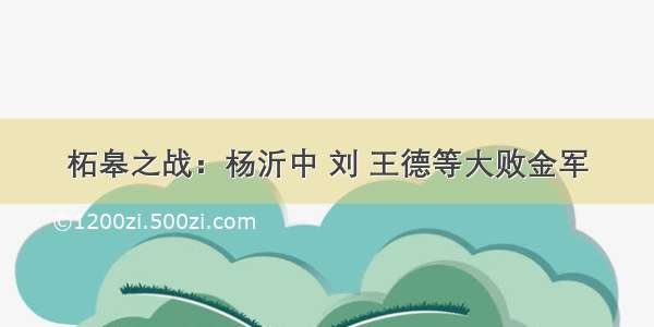 柘皋之战：杨沂中 刘 王德等大败金军