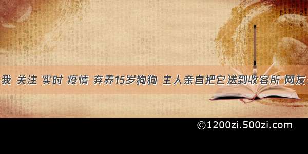 刷新 翻看 我 关注 实时 疫情 弃养15岁狗狗 主人亲自把它送到收容所 网友：太狠心了