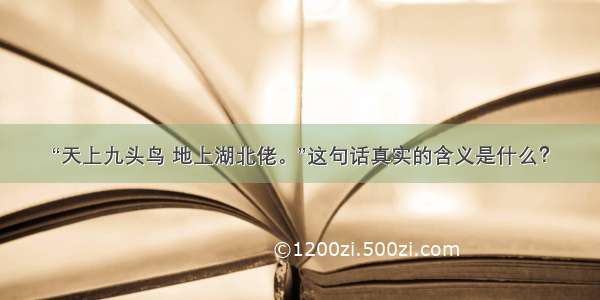 “天上九头鸟 地上湖北佬。”这句话真实的含义是什么？