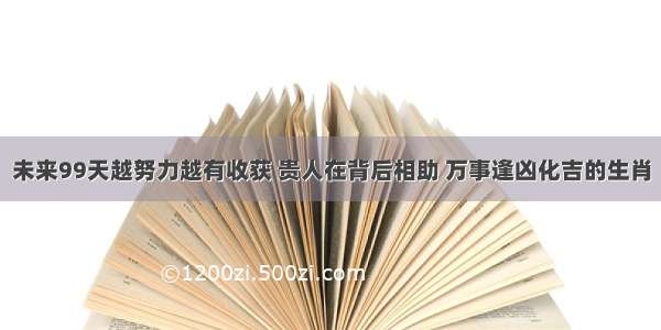 未来99天越努力越有收获 贵人在背后相助 万事逢凶化吉的生肖