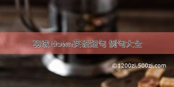 羽绒 down英语短句 例句大全