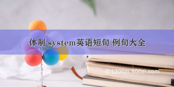 体制 system英语短句 例句大全