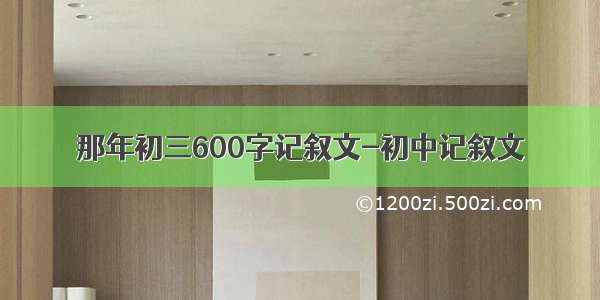 那年初三600字记叙文-初中记叙文