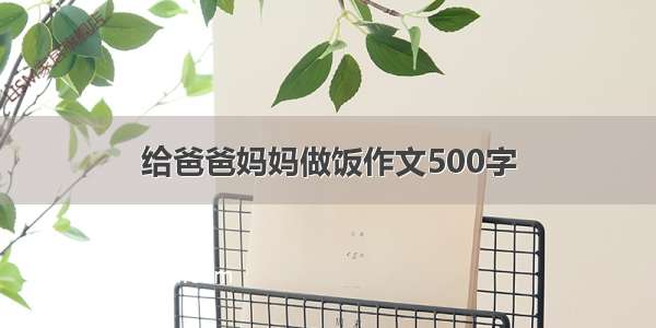 给爸爸妈妈做饭作文500字