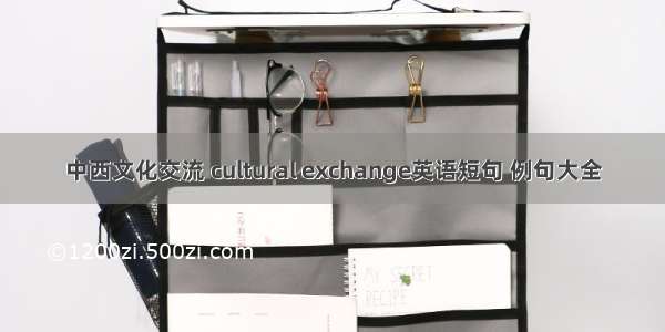 中西文化交流 cultural exchange英语短句 例句大全