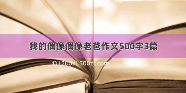 我的偶像偶像老爸作文500字3篇