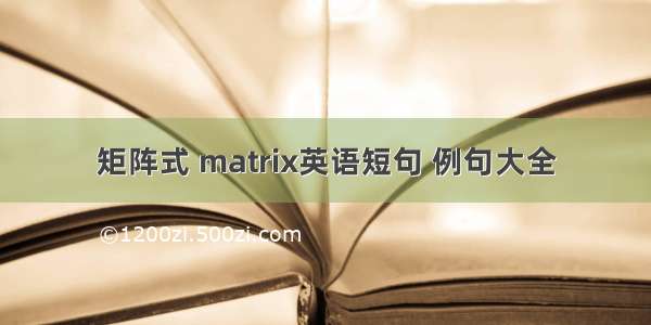 矩阵式 matrix英语短句 例句大全