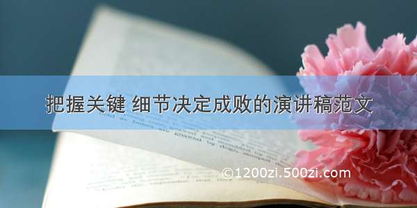 把握关键 细节决定成败的演讲稿范文