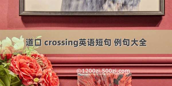 道口 crossing英语短句 例句大全