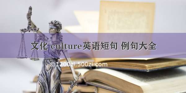 文化 culture英语短句 例句大全