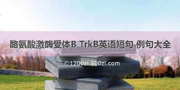 酪氨酸激酶受体B TrkB英语短句 例句大全