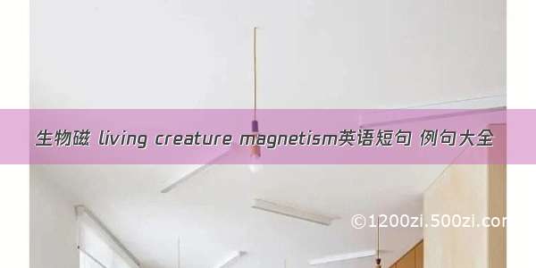 生物磁 living creature magnetism英语短句 例句大全