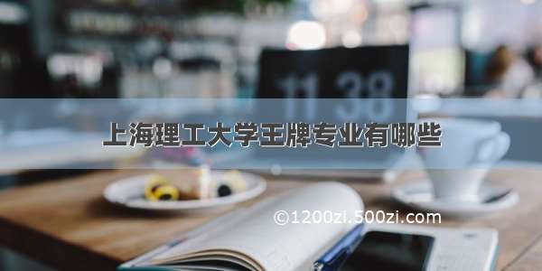 上海理工大学王牌专业有哪些