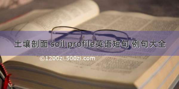 土壤剖面 soil profile英语短句 例句大全