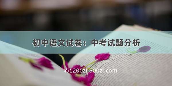 初中语文试卷：中考试题分析