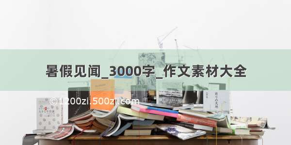 暑假见闻_3000字_作文素材大全