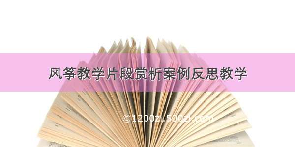 风筝教学片段赏析案例反思教学