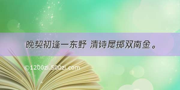 晚契初逢一东野 清诗屡掷双南金。