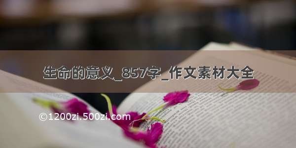 生命的意义_857字_作文素材大全