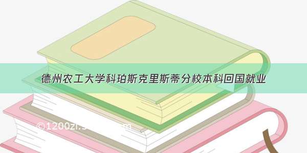 德州农工大学科珀斯克里斯蒂分校本科回国就业