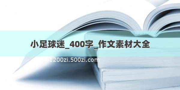 小足球迷_400字_作文素材大全