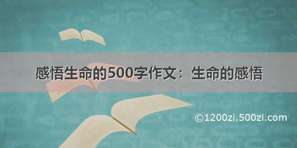 感悟生命的500字作文：生命的感悟