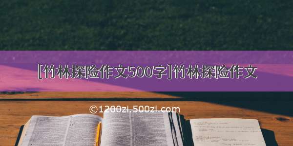 [竹林探险作文500字]竹林探险作文