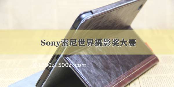  Sony索尼世界摄影奖大赛