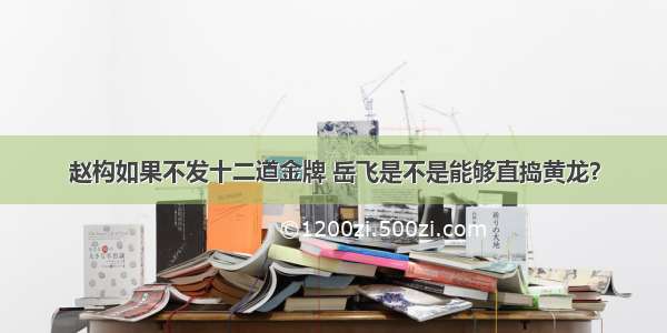 赵构如果不发十二道金牌 岳飞是不是能够直捣黄龙？