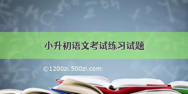 小升初语文考试练习试题