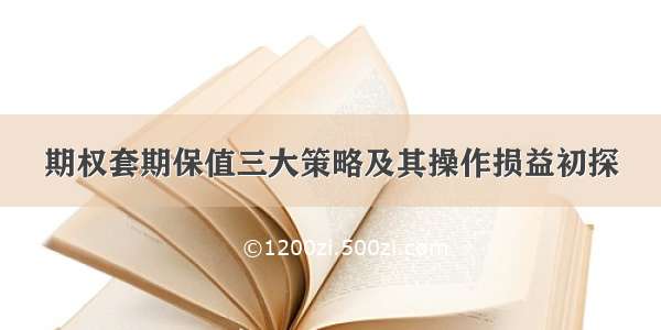 期权套期保值三大策略及其操作损益初探