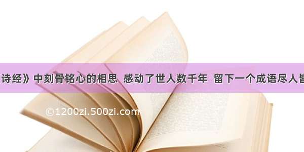 《诗经》中刻骨铭心的相思  感动了世人数千年  留下一个成语尽人皆知