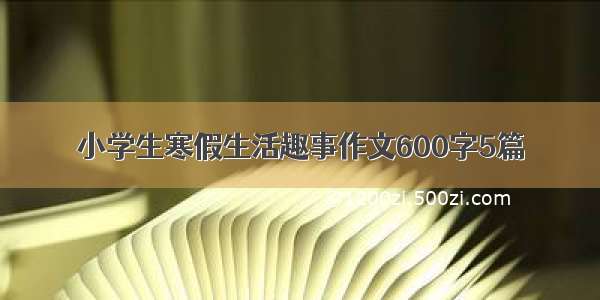 小学生寒假生活趣事作文600字5篇