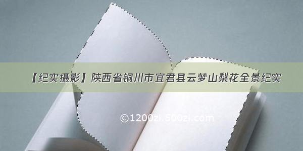 【纪实摄影】陕西省铜川市宜君县云梦山梨花全景纪实