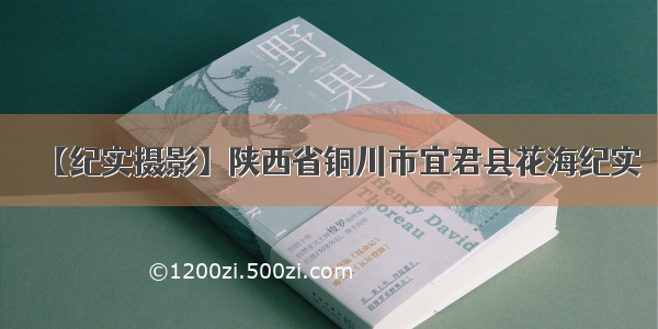 【纪实摄影】陕西省铜川市宜君县花海纪实